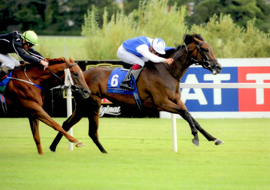 Future Generation winning the Desmond Stakes Gr3 The Curragh 21st May